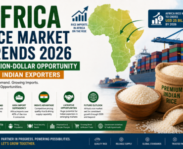 Agrigenius Exports | Bulk Non-Basmati & Sona Masoori Rice Exporters India
